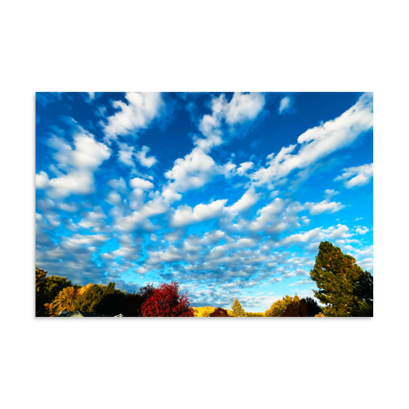 Autumn Love Crescendo