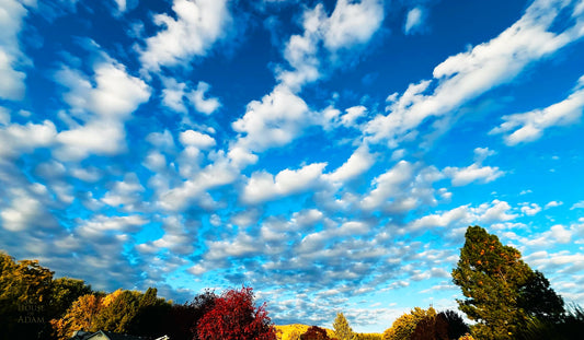 Vivid blue sky with a dramatic sweep of clouds over silhouetted autumn trees in a neighborhood, October 2025.