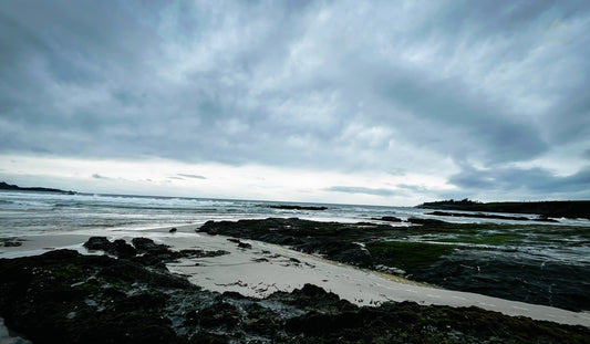 Overcast sky over dark, seaweed-covered rocks and pale sand at Carmel Beach, Monterey County, California.