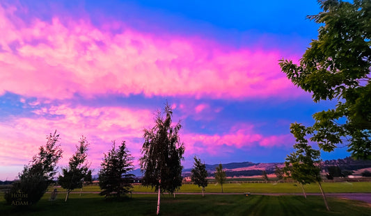 Vivid pink and blue sunset sky over rural Montana farmland with silhouetted trees and distant mountains.