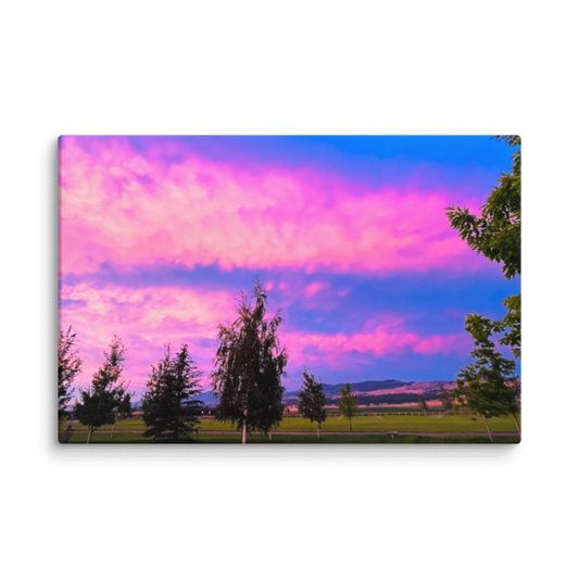 Cotton Candy Life