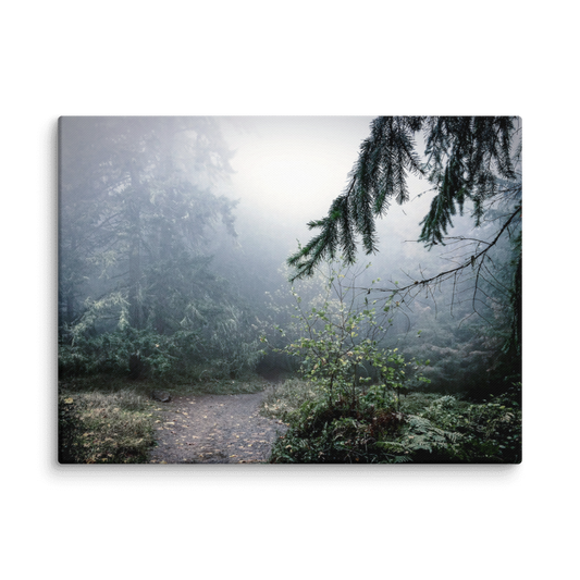 October Mist