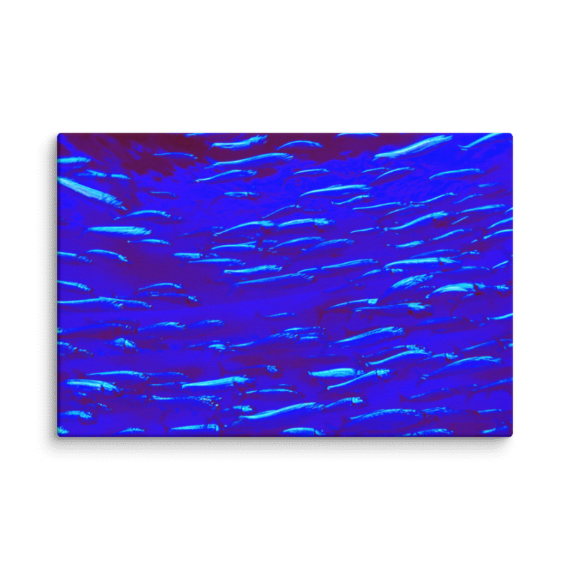 School of Light